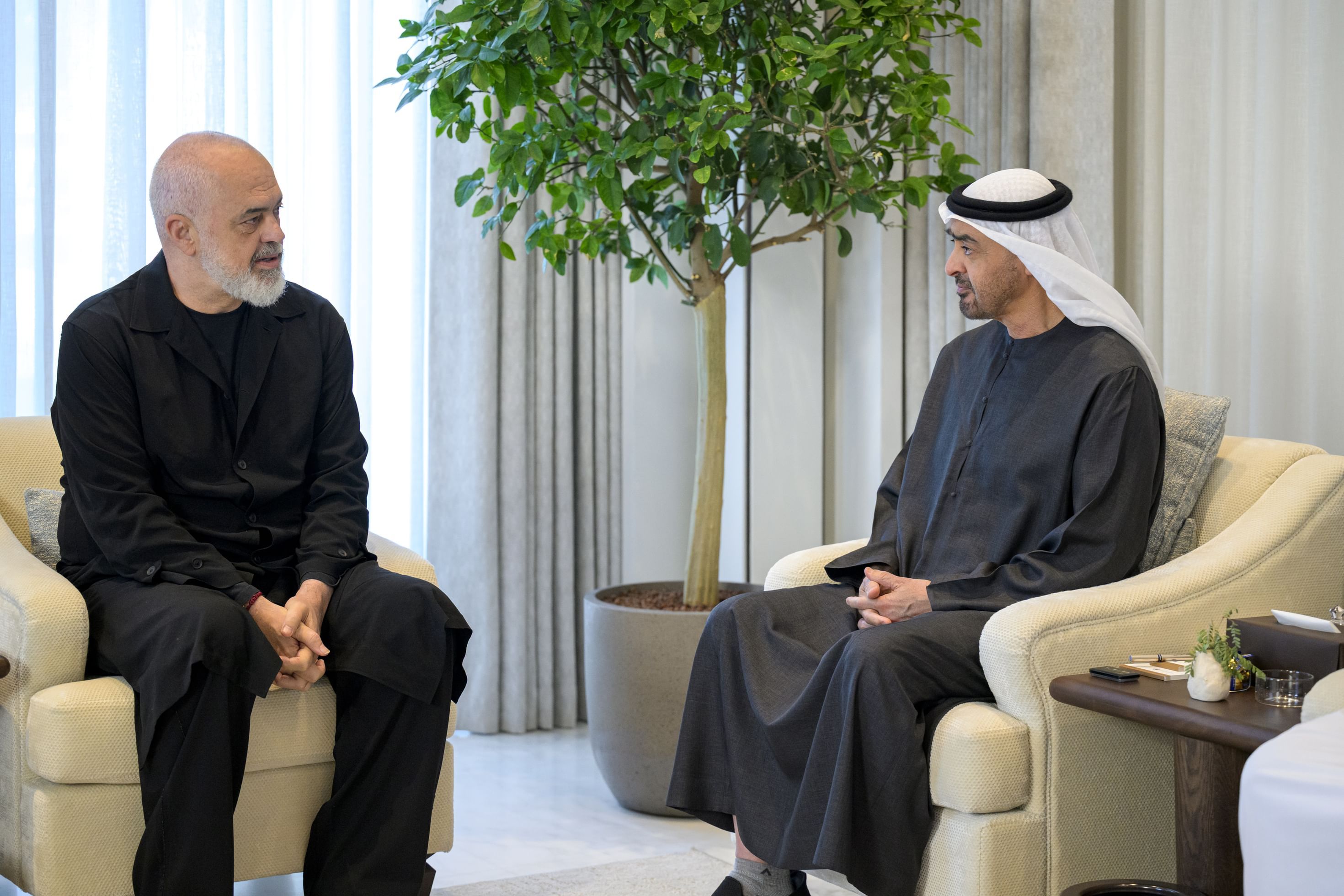 UAE President receives Prime Minister of Albania