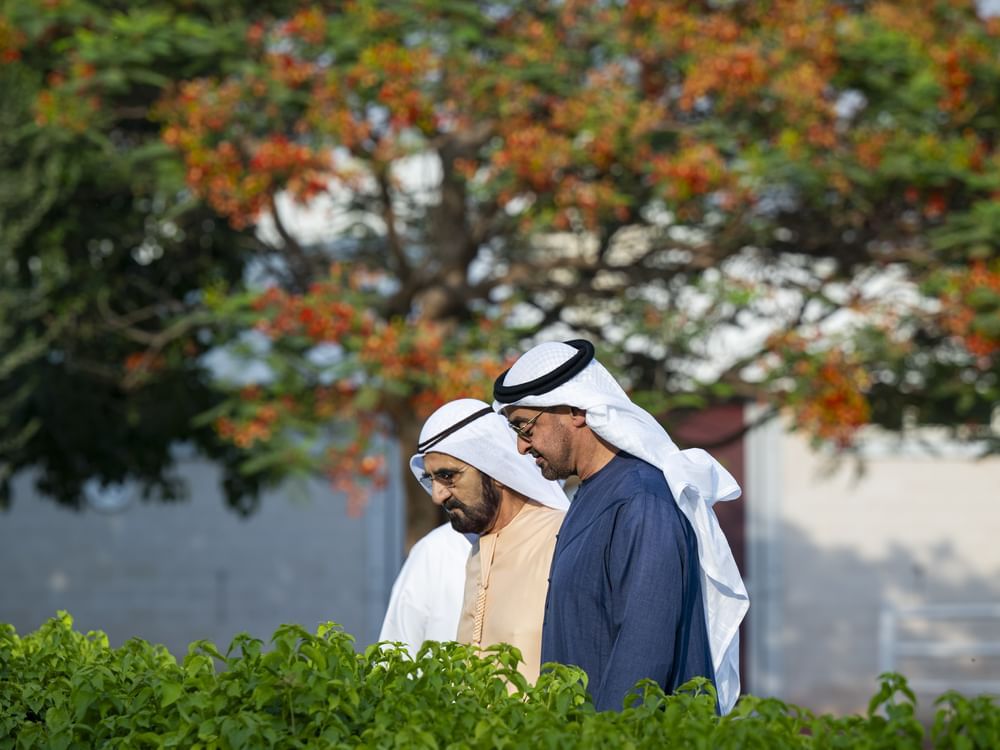  national development2.jpg