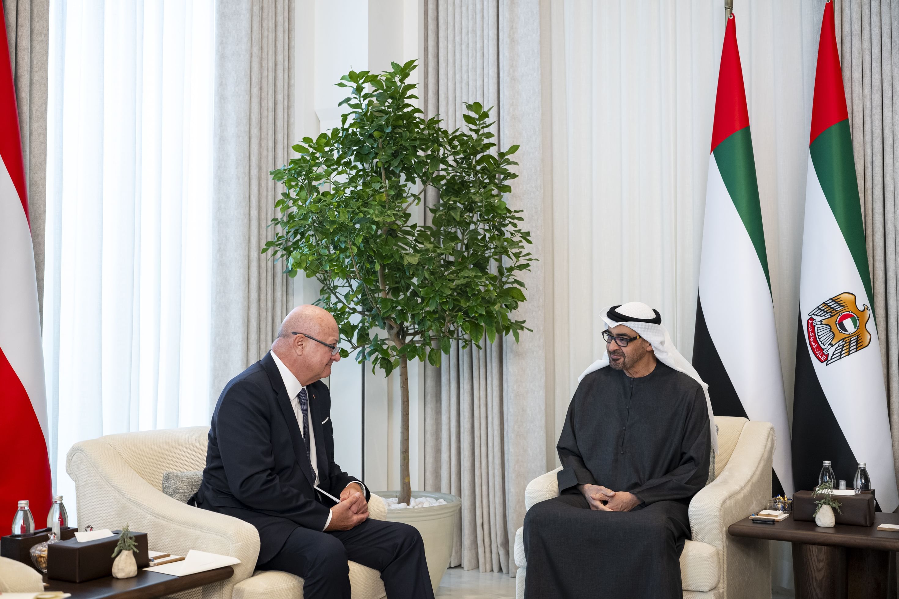 UAE President and Austrian Chancellor discuss strategic partnership and regional developments